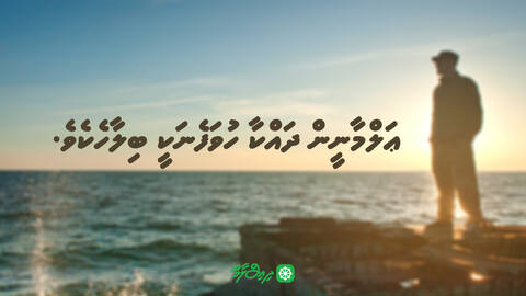 ޢަލްމާނީން ދައްކާ ހުވަފެނަކީ ބިލާހެކެވެ