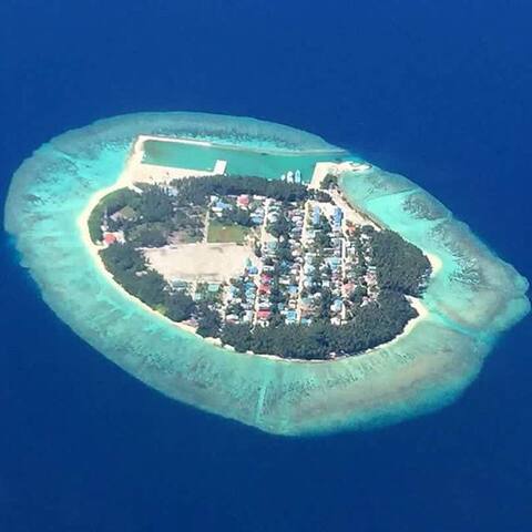ބަނޑިދޫ ދޯންޏަކުން މާވަހަރެއް ހޮވައިފި