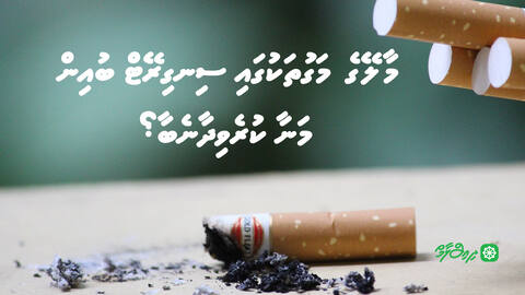 މާލޭގެ މަގުތަކުގައި ސިނގިރޭޓް ބުއިން މަނާ ކުރެވިދާނެބާ؟