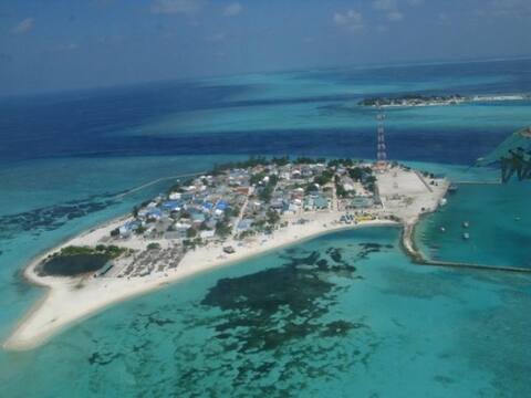 17 އަހަރުގެ ކުއްޖެއްގެ ލޮލަށް އަލްޓެކޯ ތެރަސް އަޅައި އެއްލާލައިފައި އޮއްވައި ފެނިއްޖެ