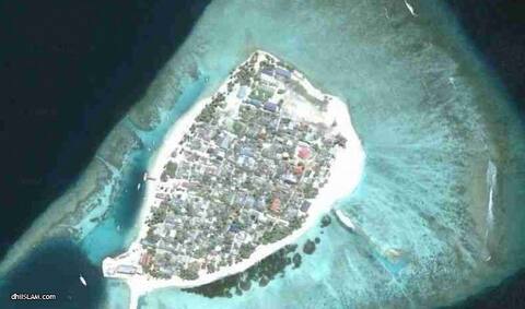 މަސްތުވާތަކެއްޗާއެކު މީދޫއިން މީހަކު ހައްޔަރު ކޮށްފި