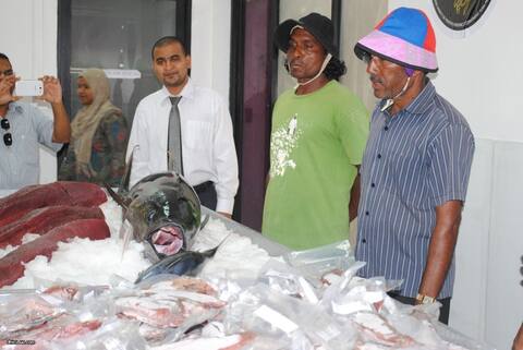 މިފްކޯ މަސްމާރުކޭޓް ހުޅުވުން