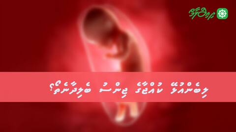ލިބެންއުޅޭ ކުއްޖާގެ ޖިންސު ބެލިދާނެތޯ؟