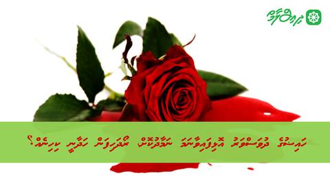 ހައިޟުގެ ދުވަސްވަރު އޮޅިފައިވާނަމަ ނަމާދުކޮށް، ރޯދަހިފަން ހަދާނީ ކިހިނެއް؟