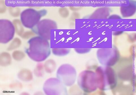 އައިމިނަތު އިބްރާހިމްއަށް އެހީތެރިކަމުގެ އަތެއް ފޯރުކޮށްދެއްވާ