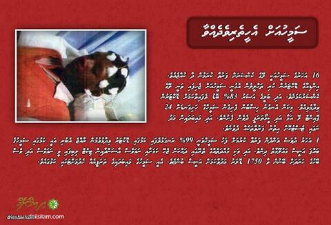 ހަސަން ސަމީހުއަށް އެހީތެރިކަމުގެ އަތެއް ފޯރުކޮށްދެއްވާ