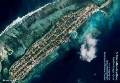 ކުއްޖާ އެބޯޓްކުރުމަށްފަހު މަރާލިކަމުގެ ދައުވާ މަންމަ އާއި ބައްޕަގެ މައްޗަށް އުފުލައިފި