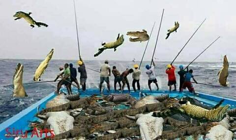 ކިނބޫ މަސް ކެއުމުގެ ޙުކުމަކީ ކޮބާ؟