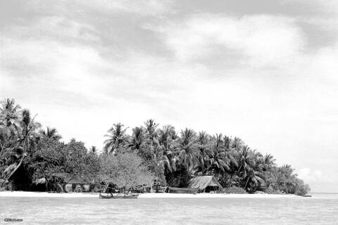 "އީދު މިސްކިތާ ހަމައަށް އައިސް ފަހަތް ބަލާލިއިރު ދެބޭފުޅުން"