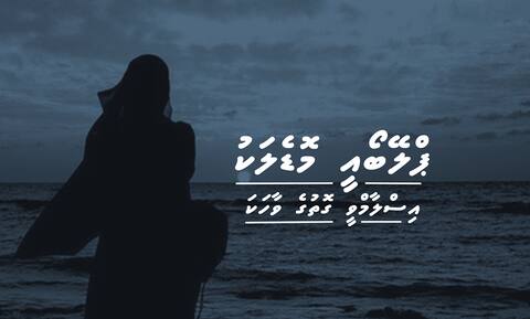 ޕްލޭބޯއީ މޮޑެލަކު އިސްލާމްވީ ގޮތުގެ ވާހަކަ