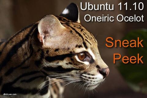 އުބުންޓޫ 11.10 ނުކުމެއްޖެ. Ubuntu 11.10 'Oneiric Ocelot'