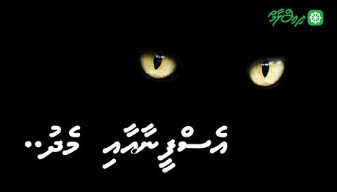 އެސްފީނާއާއި މެދު..
