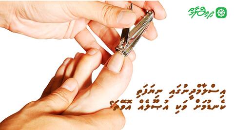 އިސްލާމްދީނުގައި ނިޔަފަތި ކެނޑުމަށް ވަކި އުޞޫލެއް އޮވޭތަ؟
