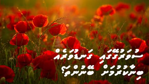 ސުވަރުގޭގައި ގަނޑުވަރެއް ބިނާކުރުމަށް ބޭނުންތަ؟