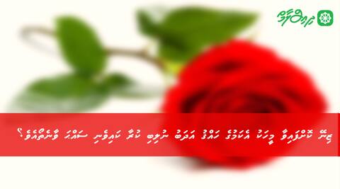 ޒިނޭކޮށް ހައްޤު އަދަބު ނުލިބިކުރާ ކައިވެނި ސައްޙަ ވާނެތޯއެވެ؟