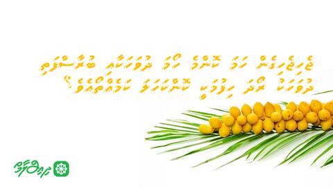ޖެހިޖެހިގެން ހަމަ ކޮންމެ ހޯމަ ދުވަހަކާއި ބުރާސްފަތި ދުވަހަކު ރޯދަ ހިފުމަކީ ކޮންކަހަލަ ކަމެއްތޯއެވެ؟