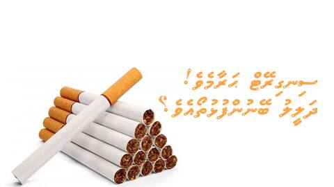 ސިނގިރޭޓް ޙަރާމެވެ! ދަލީލު ބޭނުންފުޅުތޯއެވެ؟
