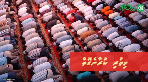 ވިތުރި ކުރާނެގޮތް