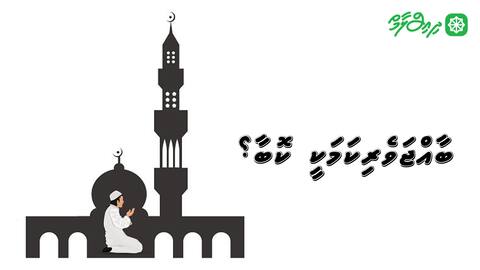 ބާއްޖަވެރިކަމަކީ ކޮބާ؟