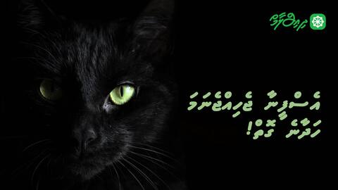 އެސްފީނާ ޖެހިއްޖެނަމަ ހަދާނެ ގޮތް !