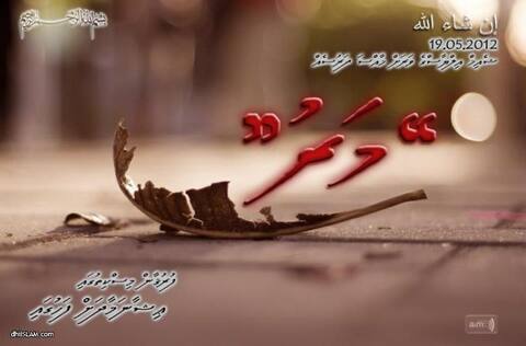 ޝައިޚް އިލްޔާސްގެ ދަރުސް "މަރު" މިރޭ ފުރުޤާން މިސްކިތުގައި