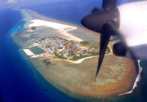 ތިމަރަފުއްޓަށް ނަގޫރޯޅިއެއް އަރައިފި
