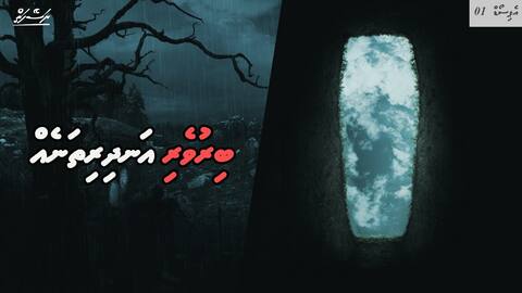 ނަސޭހަތް: ކައްވަޅުގެ ބިރުވެރިކަމާއި އަނދިރިކަން | ވަކިވުމަށް ފަހު