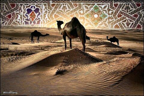 ވެރިކަމުގެ އަގު