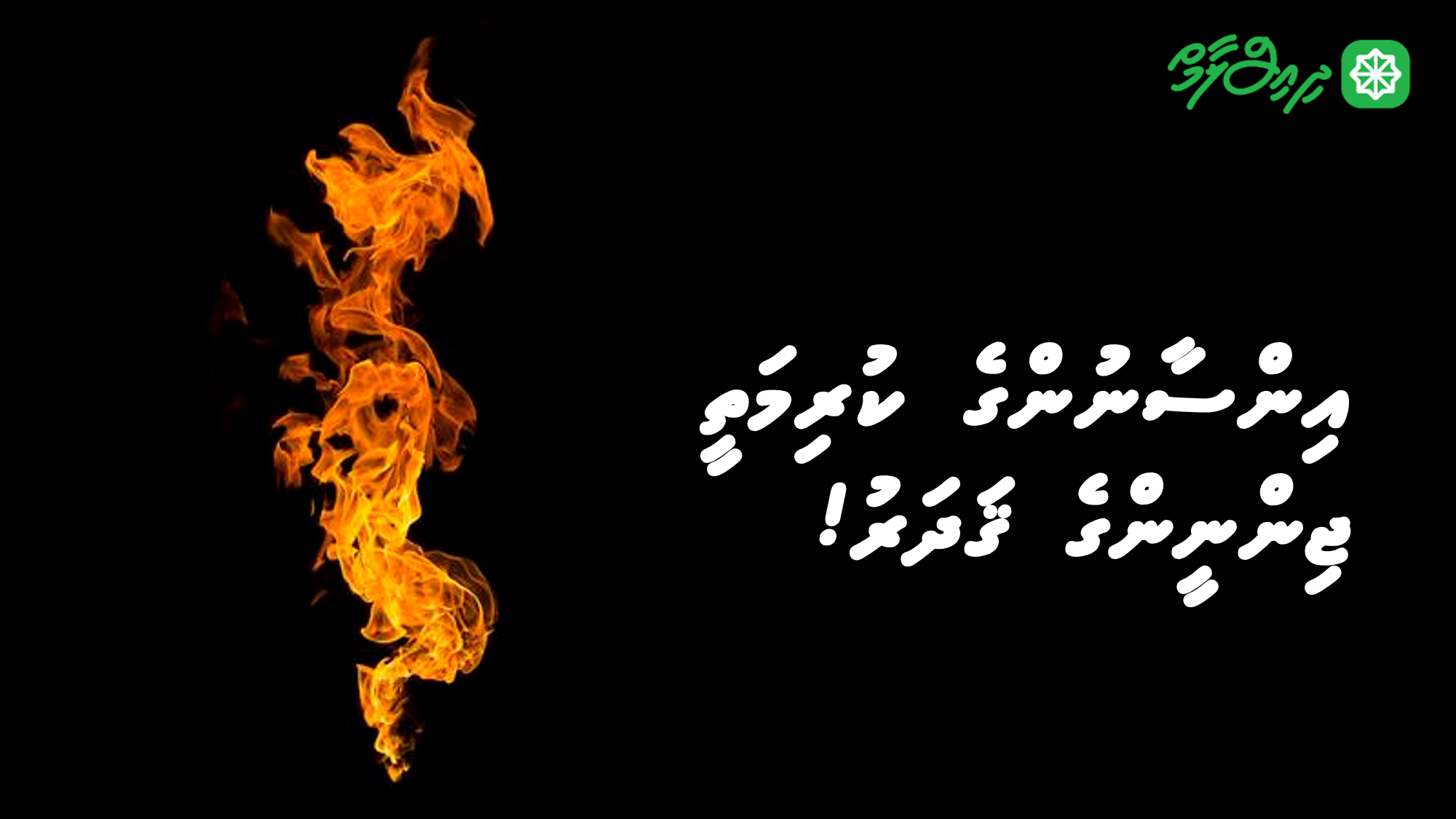 އިންސާނުންގެ ކުރިމަތީ ޖިންނީންގެ ޤަދަރު!